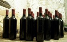 做葡萄酒代理要具备什么条件？