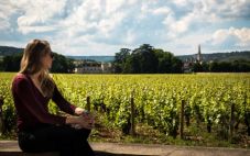 走进著名法国葡萄酒产区：勃艮第