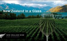 新西兰葡萄酒出口连续23年保持增长