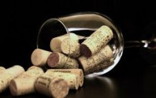 新世界葡萄酒的秘密:穆瑞塔酒庄
