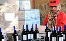 摩洛哥葡萄酒计划借助进口博览会登陆中国市场