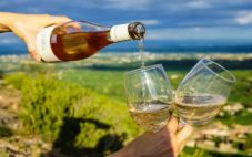 里奥哈葡萄酒的历史 走进西班牙里奥哈产区
