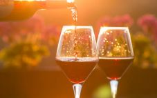 酿酒葡萄指南 梅洛和设拉子葡萄酒的区别