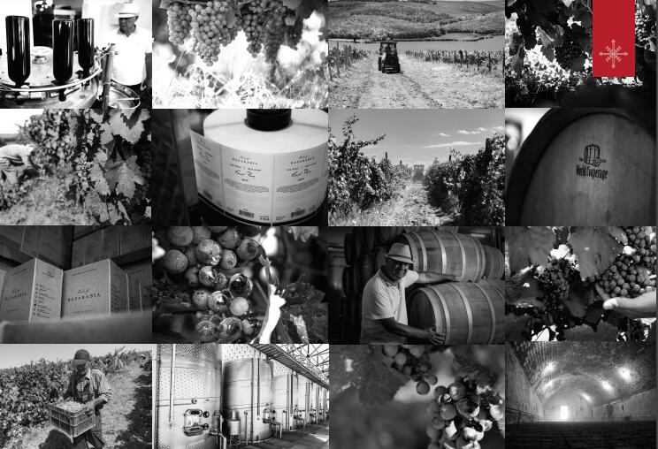 代理堡尔酒庄-摩尔多瓦“Land of Basarabia”葡萄酒声名远扬