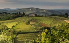 意大利葡萄酒 托斯卡纳葡萄酒产区指南