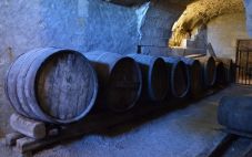 世界葡萄酒的酿酒历史