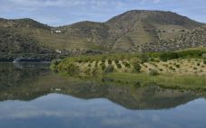 杜罗河：关于这个葡萄牙葡萄酒产区