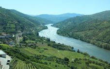葡萄牙杜罗河葡萄酒产区收成之旅