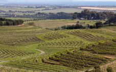 澳大利亚维多利亚的主要葡萄酒产区