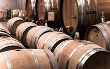 葡萄酒发酵有什么必要条件？