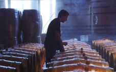 葡萄酒的酿制过程：从葡萄园到酒窖