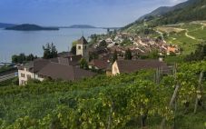 欧洲葡萄酒产区 欧洲的葡萄酒生产国家