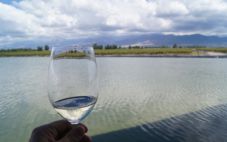阿根廷葡萄酒产区指南——门多萨