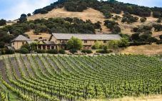 边缘地区：5个加州葡萄酒产区值得关注