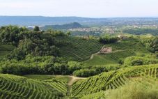 意大利葡萄酒产区——威尼托产区指南