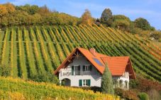 欧洲七大令人振奋的葡萄酒产区