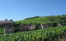 法国葡萄酒产区指南——勃艮第