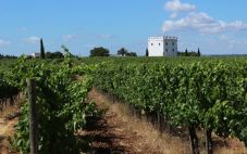 葡萄牙葡萄酒产区——阿连特茹（Alentejo）