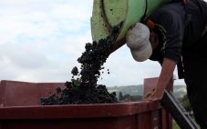 斯洛伐克如何庆祝葡萄丰收
