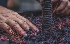 葡萄酒是如何酿造的？