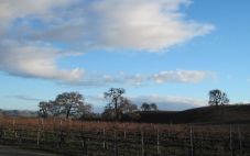 气候变化与加州葡萄酒产业的未来