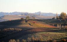 巴罗洛：一个美妙的意大利葡萄酒产区指南