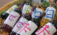 走访观察日本葡萄酒市场
