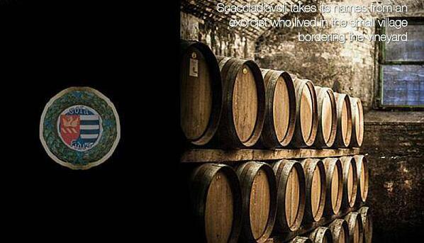 曲水流觞贸易（武汉）有限公司interwine带来意大利酒庄风采