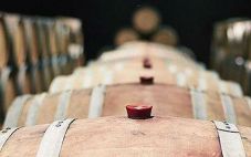 Wine Searcher发布精品葡萄酒价格趋势报告