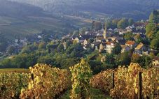 十大著名的法国葡萄酒产区都有哪些