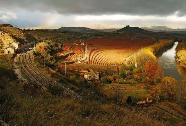 西班牙将建全欧洲最大的葡萄酒主题旅游景区