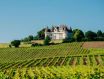 法国彩色阿基坦大酒窖，致力于酿酒合作社的葡萄酒销售和推广