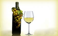 宁夏吴忠市计划发展葡萄酒产业