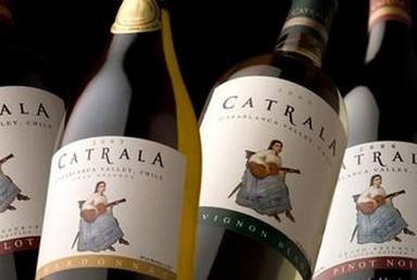 你见过这些智利红酒各类品牌图片吗？