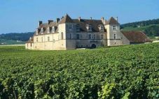 法国奥巴特利酒庄（Chateau Haut-Batailley）
