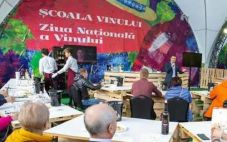 2019年摩尔多瓦国家葡萄酒节日前举办