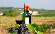 如何理解葡萄酒中的“矿物性”