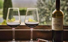 夏季托斯卡纳葡萄酒旅游建议？