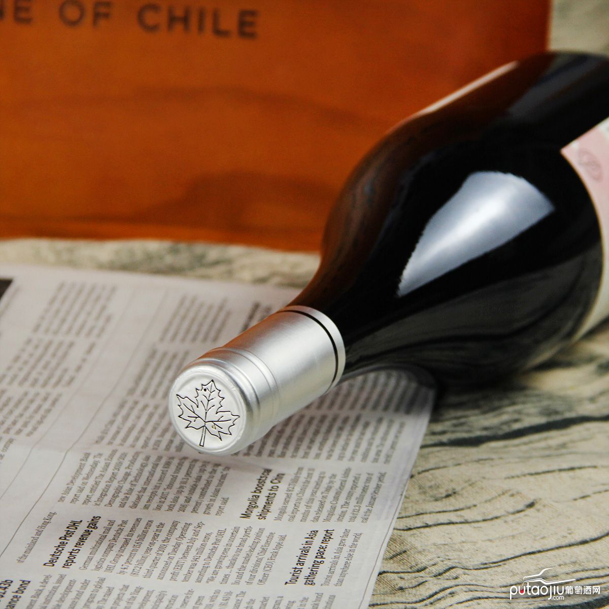 智利中央山谷Musico酒庄音乐家萨克斯西拉红葡萄酒红酒