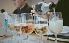 德斯汀安 ·深圳 | 02月15日，WSET三级葡萄酒认证课程火热报名中！