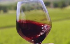 葡萄酒与人体健康是怎么样的呢？