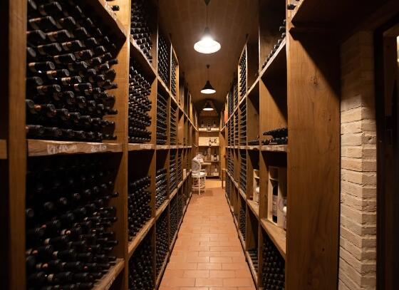 葡萄酒酒窖储酒那些事,储藏知识了解多少呢?