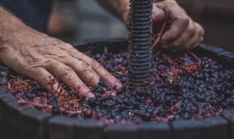 葡萄酒的酿制方法步骤我们了解多少呢？