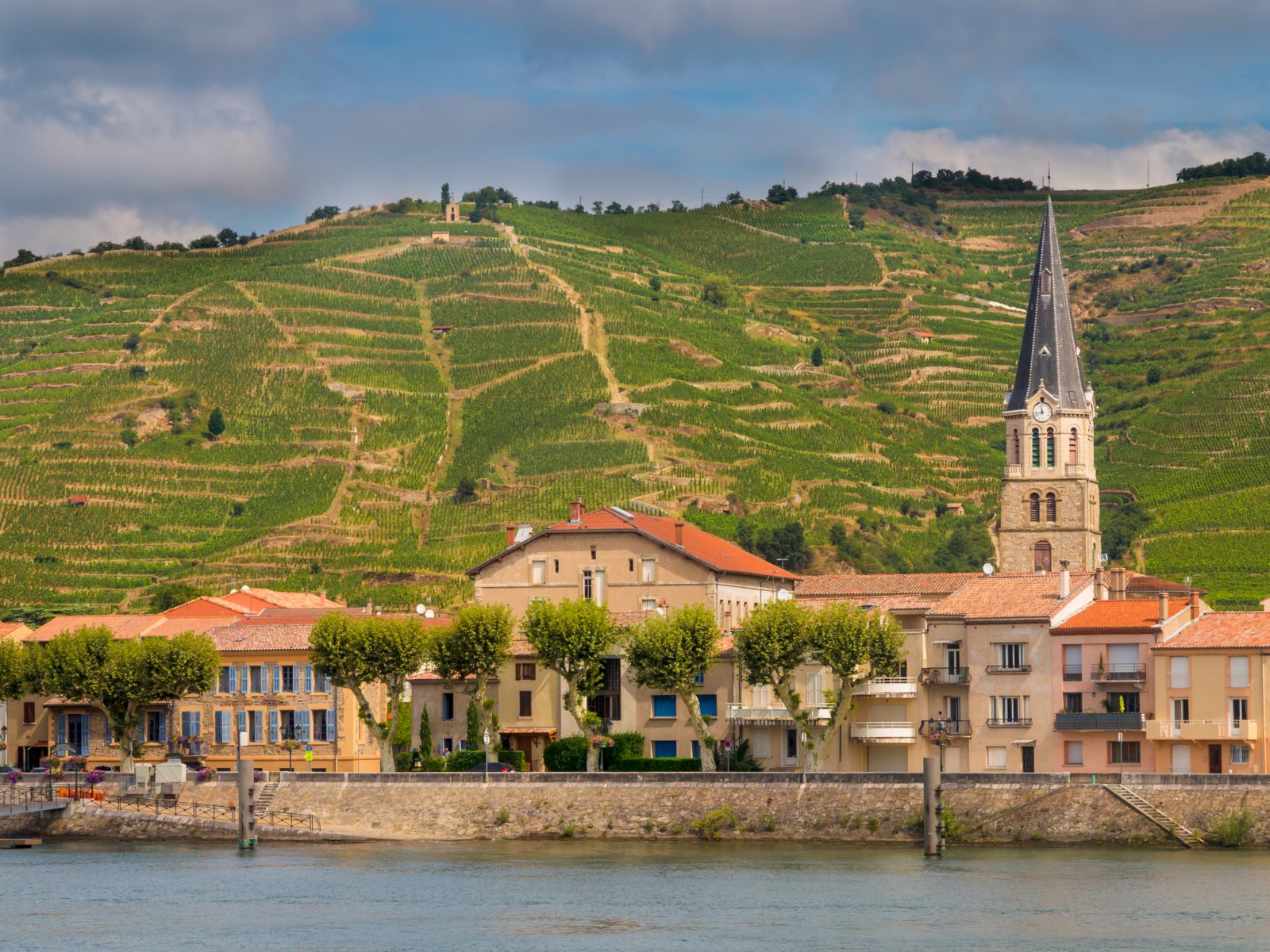 法国普罗旺斯(Provence)产区——这里不止有薰衣草