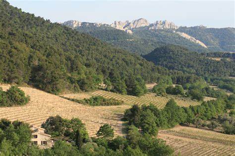 法国罗讷河谷(Rhone Valley)产区-最大的法定红葡萄酒产区