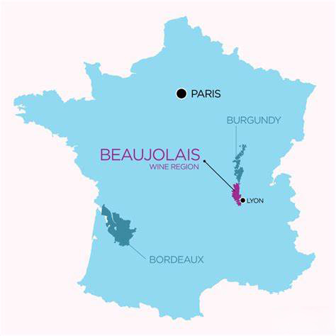 博若莱Beaujolais