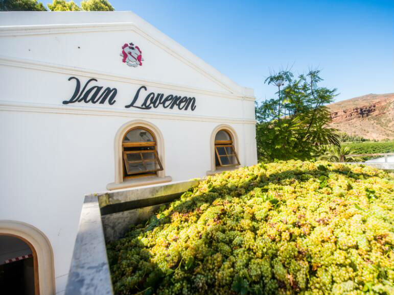 南非最大家族酒庄——梵劳伦家族酒庄