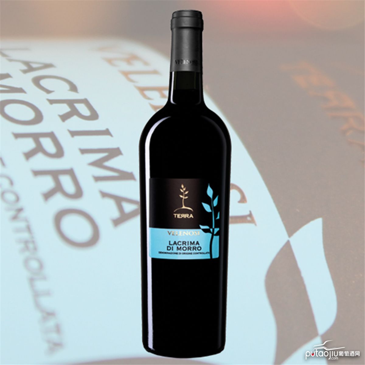 意大利马尔凯法定产区威尼诺斯拉奎马天使之泪DOC红葡萄酒红酒