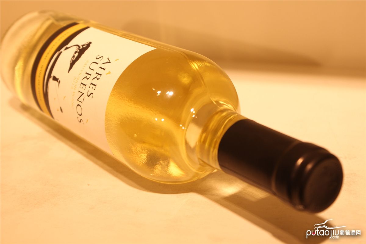 智利中央山谷七彩酒庄南极风长相思白葡萄酒