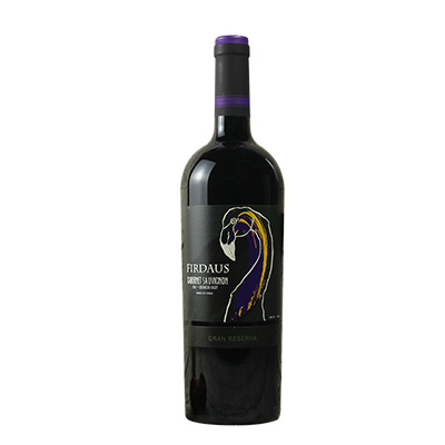 智利空加瓜谷菲尔道斯赤霞珠特级珍藏干红葡萄酒